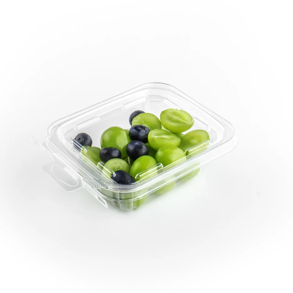 Dry fruit containers