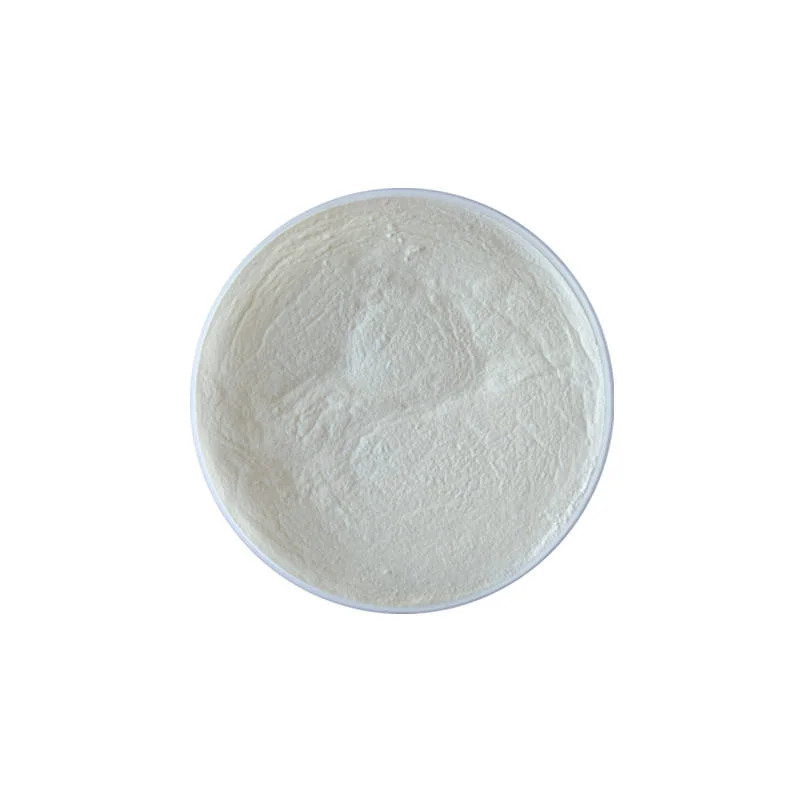 Lipase Enzyme