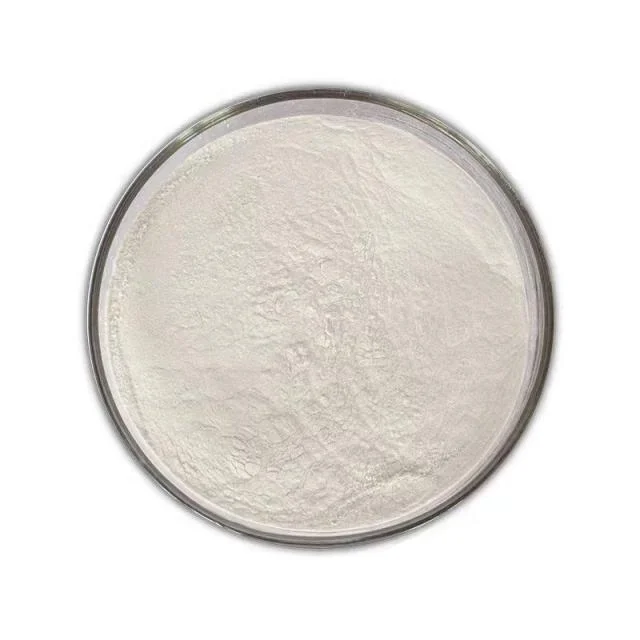 Amylase Enzyme